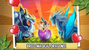 Dragon City