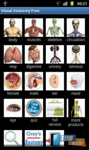 Visual Anatomy Free