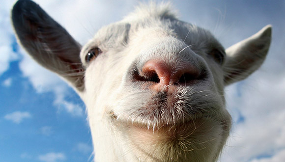Goat Simulator
